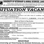 University Of Veterinary And Animal Sciences (UVAS) Jobs 23 Aug 2019