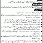 Water And Power Development Authority WAPDA Jobs 10 Aug 2019