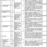 Wazirabad Institute Of Cardiology WIC Jobs 04 Aug 2019