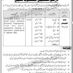 Azad Jammu And Kashmir Power Development Organization Jobs 07 Sep 2019