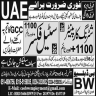 BW Overseas Employment Promoters Jobs 16 September 2019