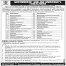 Govt College GC University Faisalabad Jobs 20 September 2019