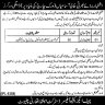 Jobs in Health Department Govt of Punjab 16 September 2019