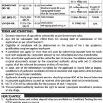 Ministry Of Communications Govt Of Pakistan Jobs 01 Sep 2019