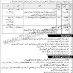NTS Ministry Of Housing Works Govt Of Pakistan Jobs 08 Sep 2019