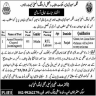 Population Welfare Department Govt of Punjab Jobs 28 September 2019