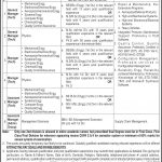 Public Sector Organization Islamabad Jobs 04 Sep 2019
