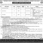 Sheikh Zayed Medical College Jobs 06 Sep 2019