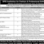 SPEI Institution For Fashion And Professional Edification Jobs 03 Sep 2019