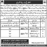 Transport Authority Govt of Balochistan Jobs 18 September 2019