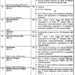 University Of The Punjab PU Jobs 01 Septemeber 2019