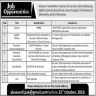 Abaseen Foundation Peshawar Jobs 17 October 2019
