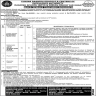 Daanish Schools Govt Of Punjab Jobs 02 October 2019
