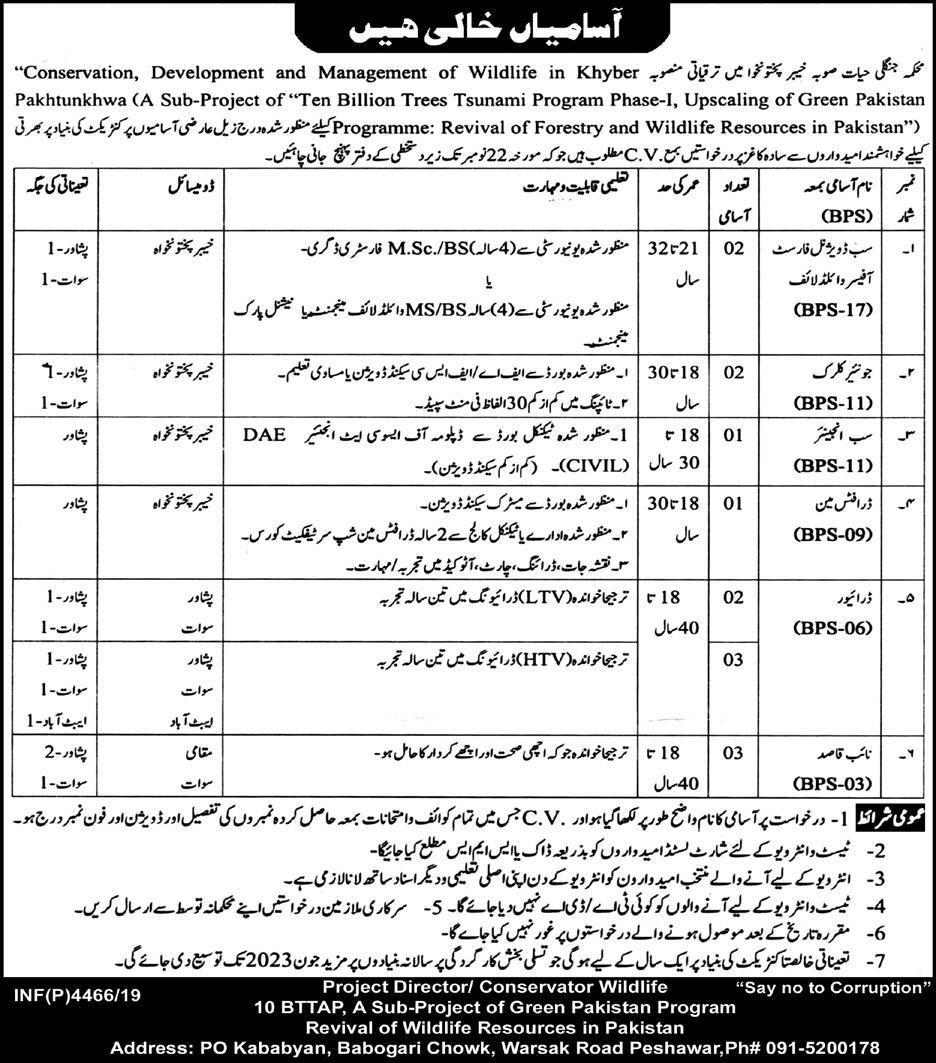 Jobs In Department Of Wildlife Khyber Pakhtunkhwa 28 October 2019