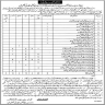District Education Authority Faisalabad Jobs 13 October 2019