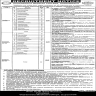Gujranwala Medical College Jobs 13 October 2019