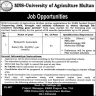 Job In MNS-University of Agriculture Multan Jobs 05 October 2019