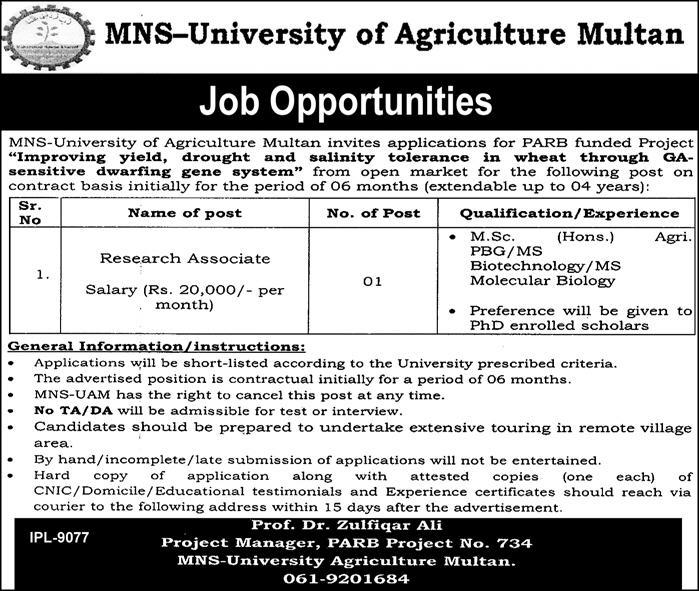 Job In MNS-University of Agriculture Multan 05 October 2019