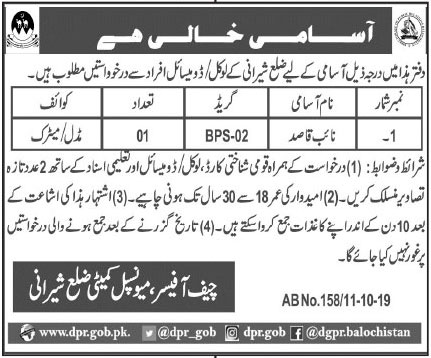 Jobs In Municipal Committee District Sherani 12 October 2019