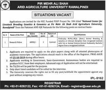 Jobs In Pir Mehar Ali Shah Arid Agriculture University 08 October 2019