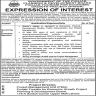 Planning and Development Department Govt of the Punjab Jobs 04 October 2019