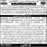 Population Welfare Department Govt of Punjab Jobs 19 October 2019