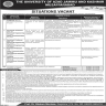 University Of Azad Jammu And Kashmir Jobs 08 October 2019