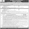 Govt College GC University Faisalabad Jobs 06 November 2019
