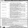 Jobs Required In Punjab Social Protection Authority Jobs 24 November 2019