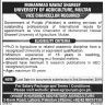 Muhammad Nawaz Shareef University of Agriculture Jobs 05 November 2019
