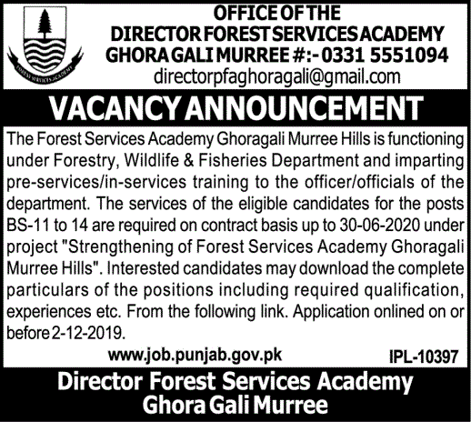Jobs In Office Of The Directorate Forest Services Academy Ghora Gali Murree 12 November 2019