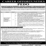 Pakhtunkhwa Energy Development Organization (PEDO) Jobs 04 November 2019