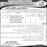 Population Welfare Department Azad Govt Of Jammu And Kashmir Jobs 14 November 2019