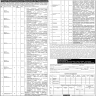 Project Management Office Govt Of Punjab Jobs 16 November 2019