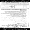 School Education Department Govt of Punjab Jobs 16 November 2019