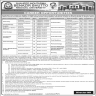 Shaheed Mohtarma Benazir Bhutto Medical University Jobs 07 November 2019