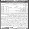 Shaheed Mohtarma Benazir Bhutto Medical University Jobs 25 November 2019
