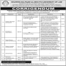 Shaheed Zulfiqar Ali Bhutto University Of Law Jobs 07 November 2019