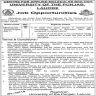 University Of The Punjab Jobs 22 November 2019