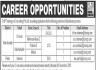 Chip Training And Consulting Pvt Limited Jobs 06 December 2019