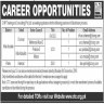 Chip Training And Consulting Pvt Limited Jobs 06 December 2019