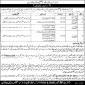 Distract Health Authority District Mandi Bahauddin Jobs 19 December 2019