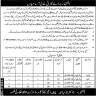 District Health Authority Kasur Jobs 07 December 2019