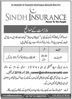 Inhouse Surveyor Required In Sindh Insurance Limited 13 December 2019