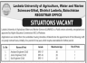 Lasbela University of Agriculture Water and Marine Science Jobs 27 December 2019