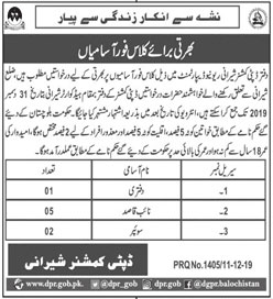 Jobs In Office of The Deputy Commissioner Sherani Department 12 December 2019