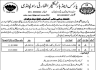 Parks And Horticulture Authority Rawalpindi Jobs 26 December 2019