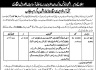 Primary and Secondary Healthcare Department Govt of Punjab Jobs 30 December 2019