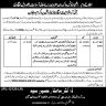 Primary and Secondary Healthcare Department Govt of Punjab Jobs 30 December 2019