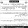 Primary and Secondary Healthcare Department Rahim Yar Khan Jobs 13 December 2019